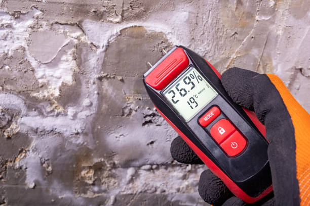 Best Bathroom Mold Remediation in Margaret, AL