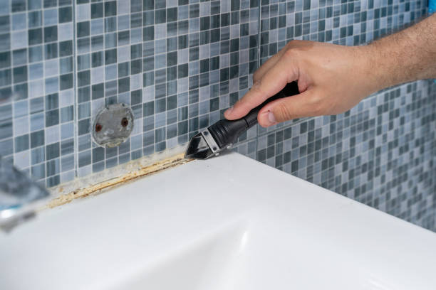 Best Localized Mold Remediation (e.g., coastal areas, humid climates) in Margaret, AL